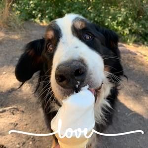 Meet your Posher, Kerrie